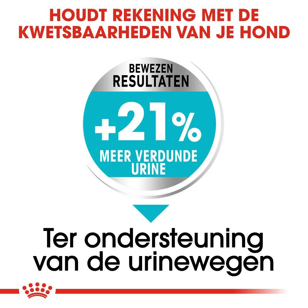 Royal Canin Hondenvoer Urinary Care Mini 8 Kg 6 Royal Canin Hondenvoer Urinary Care Mini 8 Kg - Afbeelding 4