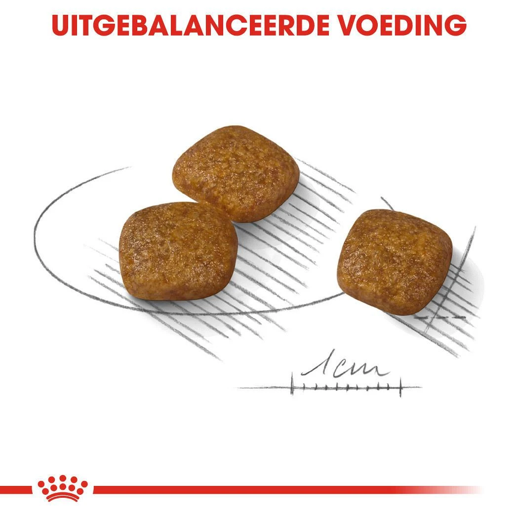 Royal Canin Hondenvoer Urinary Care Mini 8 Kg 4 Royal Canin Hondenvoer Urinary Care Mini 8 Kg - Afbeelding 2