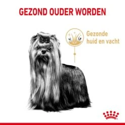 Royal Canin Hondenvoer Yorkshire Terrier Adult 8+ 3 Kg -Speelgoed Winkel royal canin yorkshire terrier adult volwassen hond yorkshire terrier vanaf 8 jaar hero usp