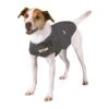 Thundershirt 2 Thundershirt -Speelgoed Winkel thundershirt jackrussel