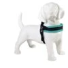 Tre Ponti Hondentuig Mesh Fibbia Reflective Verstelbaar Pastel Groen -Speelgoed Winkel turquoise licht hond