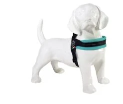 Tre Ponti Hondentuig Mesh Fibbia Reflective Verstelbaar Pastel Groen