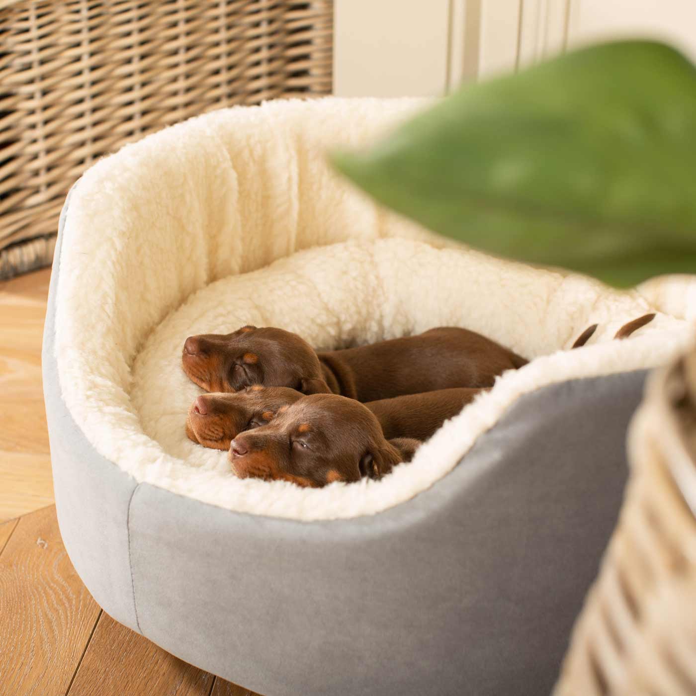 Speelgoed Winkel 36 Speelgoed Winkel -Speelgoed Winkel LL GWM GRY lords and labradors grey grow with me puppy bed top close lifestyle 2