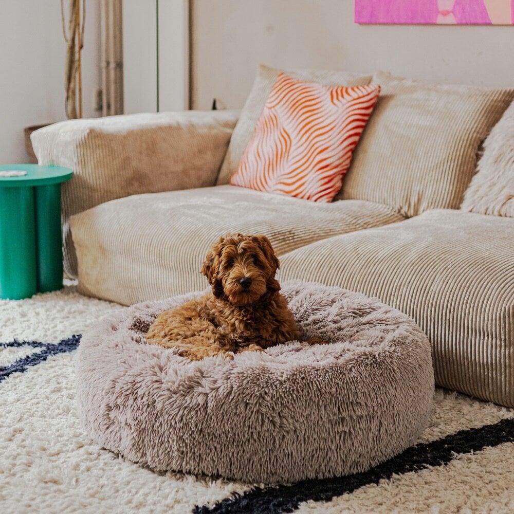 Speelgoed Winkel 35 Speelgoed Winkel -Speelgoed Winkel district 70 district 70 fluffy dog bed fuzz 20