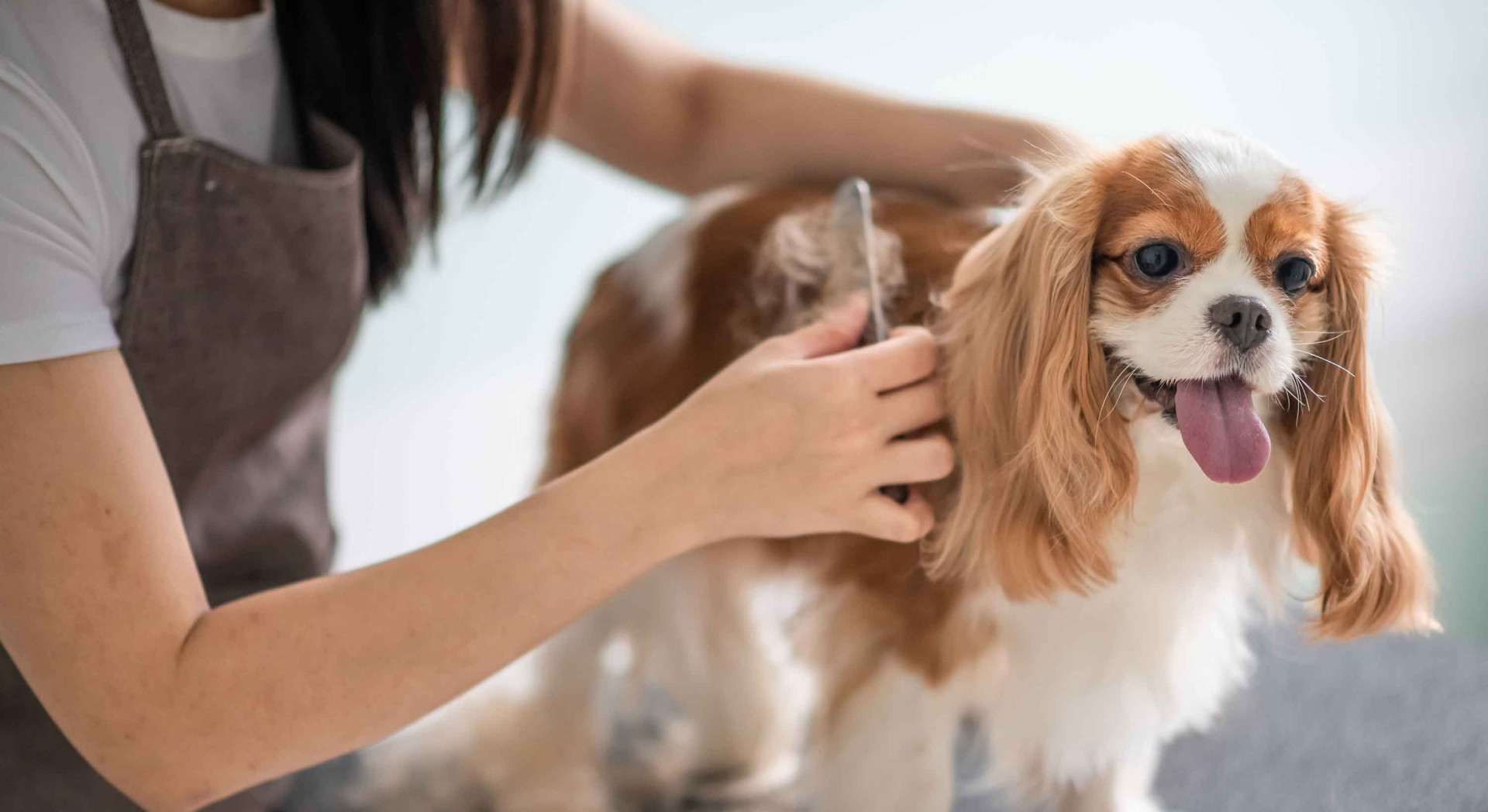 Speelgoed Winkel 7 Speelgoed Winkel -Speelgoed Winkel